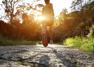 runner atlet ormanı iz üzerinde çalışan.