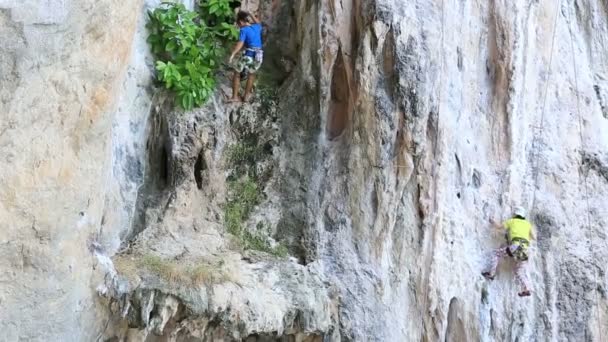 Escaladores escalada rocha — Vídeo de Stock