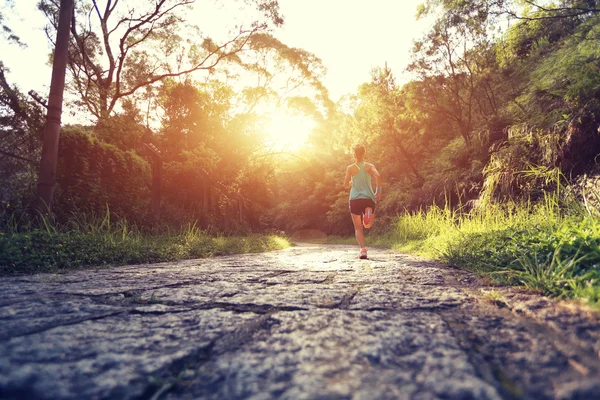 Atleta femenina corriendo por sendero forestal . —  Fotos de Stock