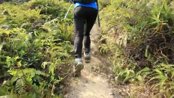 Mulher mochileiro escalando montanha — Vídeo de Stock