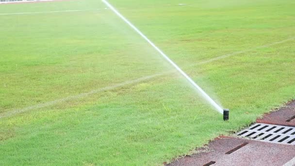 Irrigation turf stadium — Stock Video
