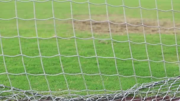 Voetbal netto met gras — Stockvideo