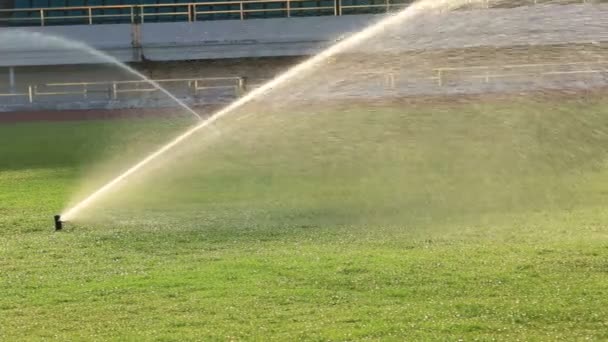 Irrigatie gras stadion — Stockvideo