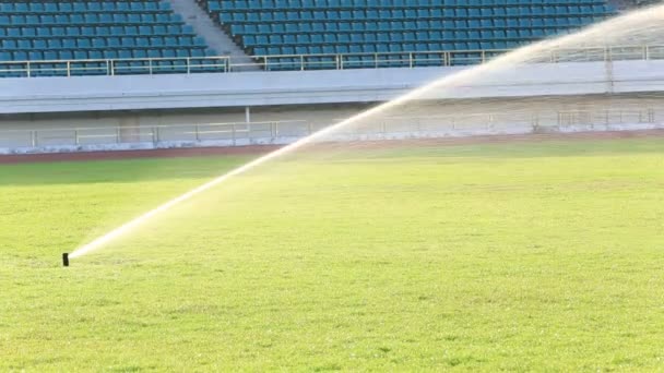 Irrigatie gras stadion — Stockvideo