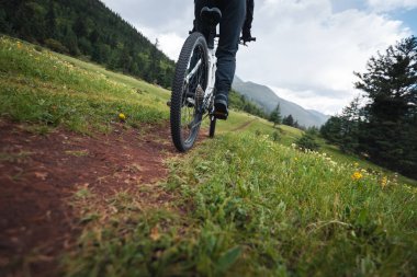 Çayırlık orman dağlarında dağ bisikleti sürmek