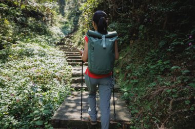 Sırt çantalı bir kadın yürüyüşçü dik bir orman yoluna tırmandı..