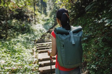 Sırt çantalı bir kadın yürüyüşçü dik bir orman yoluna tırmandı..