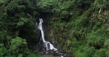Dar şelale, yoğun yeşil ormanlarla çevrili kayalık bir vadiden aşağı dökülüyor..