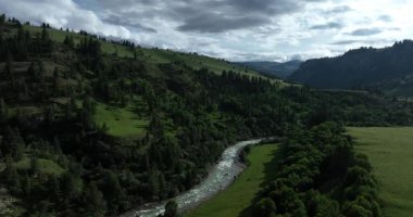 Soluk kesen yeşil dağlar vadisi, yoğun ormanların arasından süzülen bir nehir, mavi gökyüzünün altında. 
