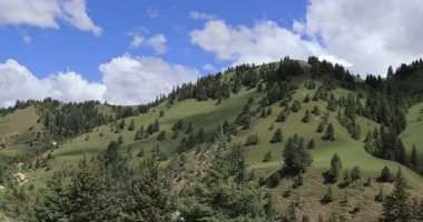 Dağılmış yeşil ağaçlarla dolu yemyeşil bir tepe beyaz bulutlu açık mavi bir gökyüzüne doğru uzanıyor..