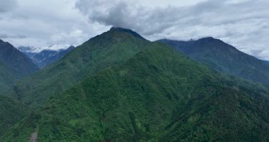 Bereketli yeşil dağ zirvesinin insansız hava aracı görüntüleri bulutlu bir gökyüzünün altında sık ormanlarla kaplıdır..