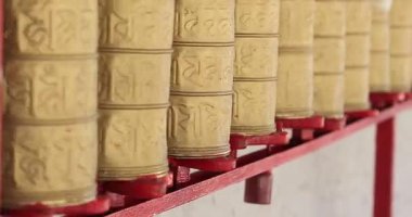 Raftaki istiflenmiş silindirik kapları kapat