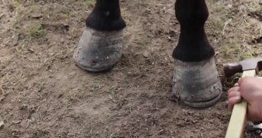 Tibetliler atın ayağına yeni bir at nalı takıyor.    