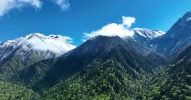 Bereketli, koyu yeşil vadiyle görkemli karlı dağlara uzanan bir dere mavi gökyüzünün altında.
