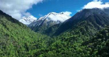 Yükseğe çıkan yemyeşil vadi, bulutlu gökyüzünün altında karla kaplı dağ zirveleri..