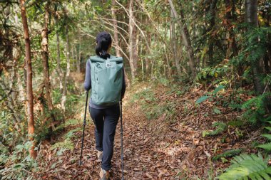 Sonbahar orman dağında tek başına yürüyüş.