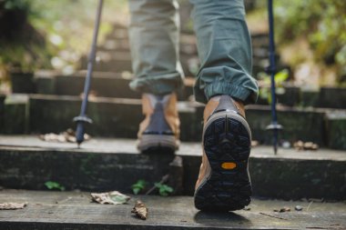 Sonbahar orman dağında yürüyüş.