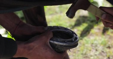 Bir nalbant, yeni metal bir nalı atın toynağına takmaya hazırlanıyor..