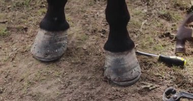 Tibetliler atın ayağına yeni bir at nalı takıyor.    