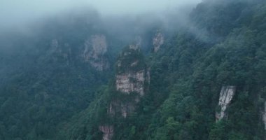 Büyük, dik kayalıklar ve kaya sütunları yoğun yeşil bir ormanın üzerinde yükseliyor, tepeleri sis ve alçak bulutlarla örtülü..