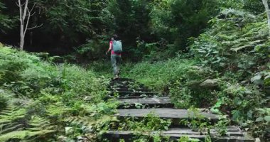 Sırt çantalı bir yürüyüşçü. Yoğun, yeşil orman patikalarında yükselen taş adımlar atıyor..