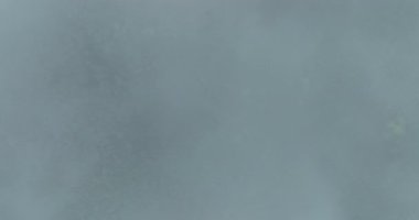 Yoğun yeşil dağ yağmur ormanları. Sis ve alçak bulutlar. 