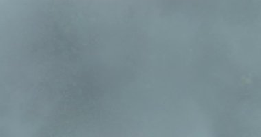 Dağ yağmur ormanları alçak sis ve bulutlarla örtülü..