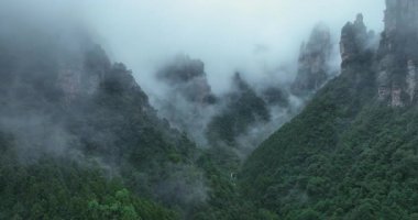 Sis ve alçak bulutlar sarp, dramatik, ormanla kaplı dağlar.