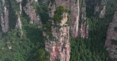 Zhangjiajie Ulusal Orman Parkı, Çin 'de güzel bir manzara.        