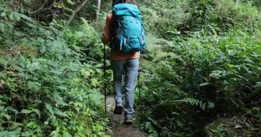 Güzel dağ ormanlarında tek başına yürüyüş yapan bir kadın.    