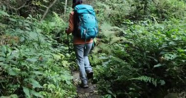 Güzel dağ ormanlarında tek başına yürüyüş yapan bir kadın.    