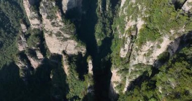 Zhangjiajie Ulusal Orman Parkı, Çin 'de güzel bir manzara.        