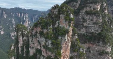 Zhangjiajie Ulusal Orman Parkı, Çin 'de güzel bir manzara.        