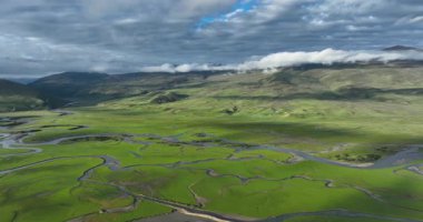 Litang County, Çin 'de güzel yeşil çayırlar ve bulutlu gökyüzü