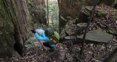 Sırt çantalı bir kadın dik orman patikasında yürüyüş yapıyor.  