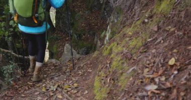 Sırt çantalı bir kadın dik orman patikasında yürüyüş yapıyor.  