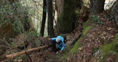Sırt çantalı bir kadın dik orman patikasında yürüyüş yapıyor.  