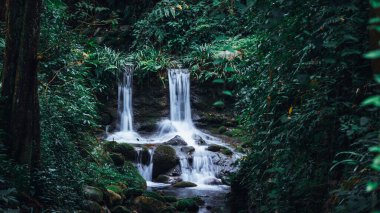 Yeşil tropikal ormanda güzel bir şelale