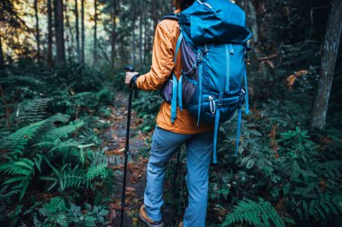 Sırt çantalı bir kadın orman yolunda yürüyüş yapıyor.