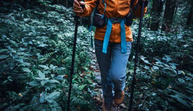 Sırt çantalı bir kadın orman yolunda yürüyüş yapıyor.