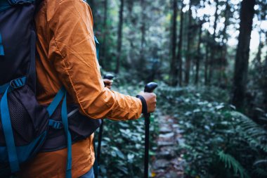 Sırt çantalı bir kadın orman yolunda yürüyüş yapıyor.