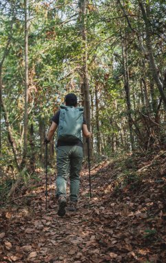 Sonbahar dağ ormanlarında tek başına yürüyüş yapan kadının arka görüntüsü. 