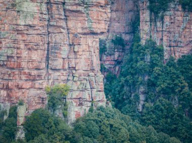 Zhangjiajie, Çin 'deki güzel dağ manzarası          