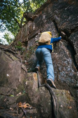 Sırt çantalı kadın dik orman kayalıklarına tırmanıyor.