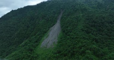 Çin 'deki güzel yeşil orman manzarasının hava görüntüleri.