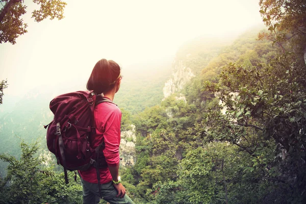 Mulher caminhante sobre vista montanha — Fotografia de Stock