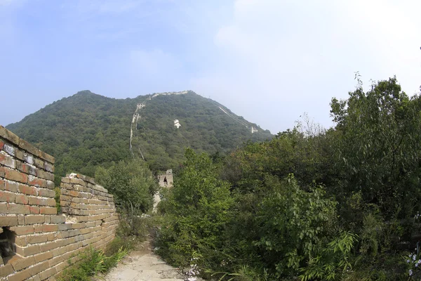 Great wall in china — Stock Photo, Image