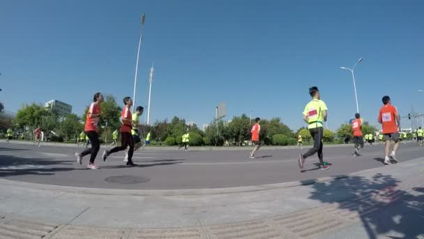 Marathon coureurs sur la route de la ville — Video