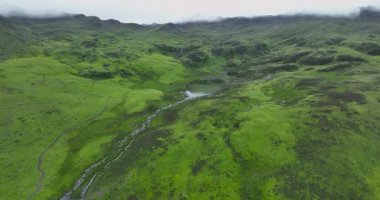 Güzel yüksek irtifa çayırlık dağ manzarasının hava görüntüleri.    