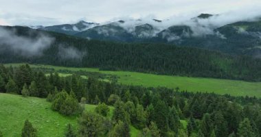 Alp otlaklarının ve orman dağlarının hava görüntüleri.      